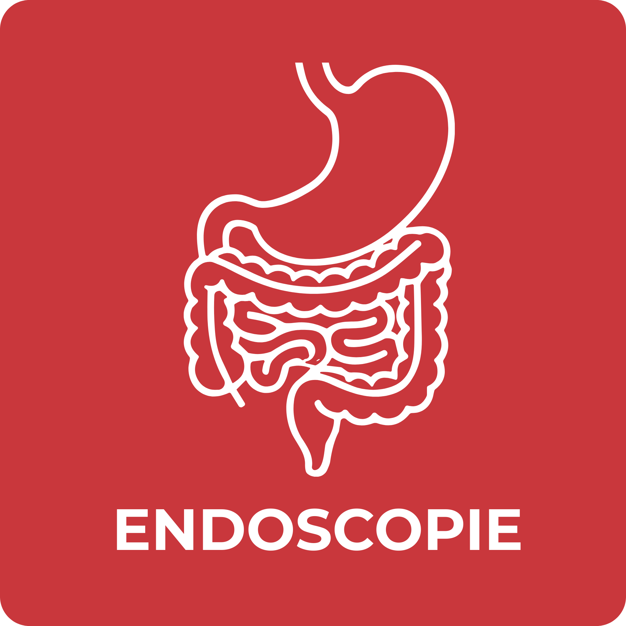icoon endoscopie polidirect