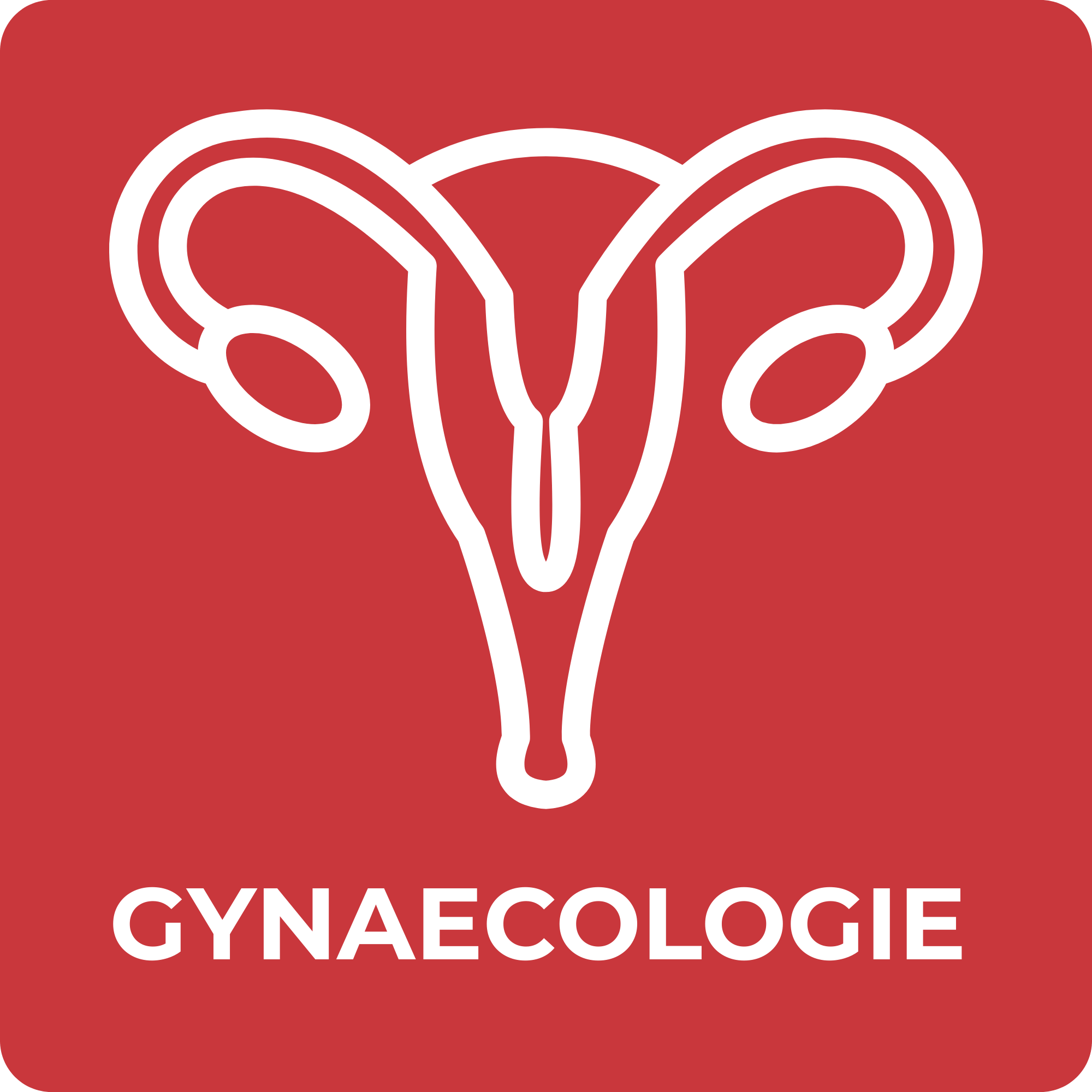 icoon gynaecologie polidirect